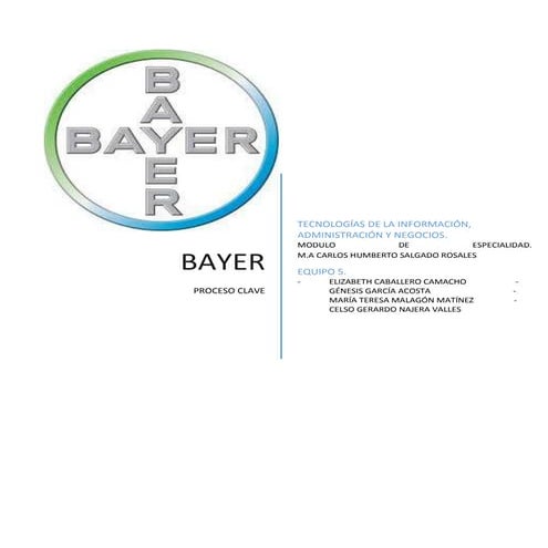 Bayer. segundo proyecto.