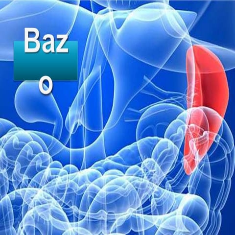 Bazo | PPTX