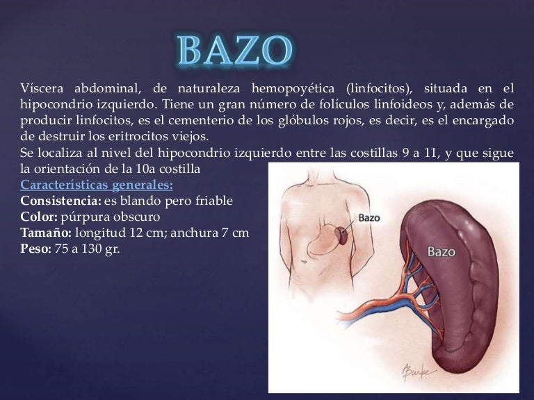 Bazo