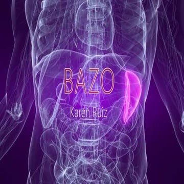 Bazo | PPTX