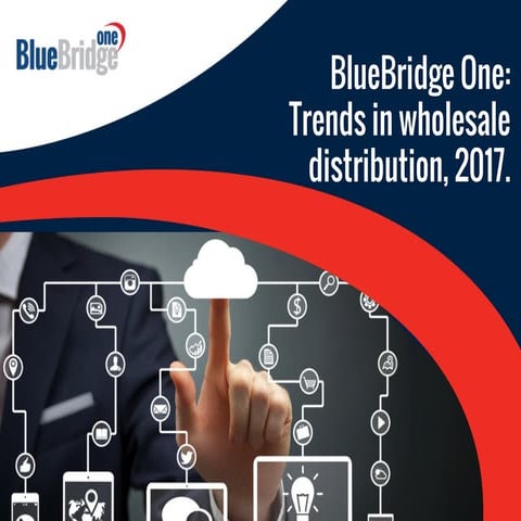BlueBridge One: Trends in wholesale distribution, 2017.