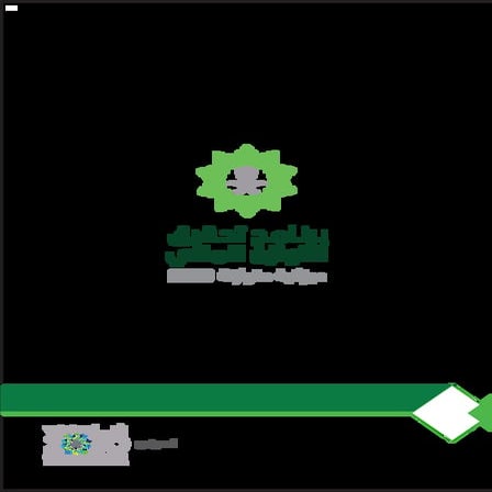 وثيقة برنامج تحقيق التوازن المالي 