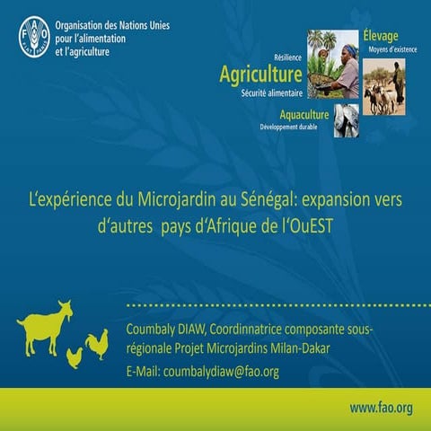 Briefing de Bruxelles 50: Coumbaly Diaw "L’expérience du micro-jardinage en A...