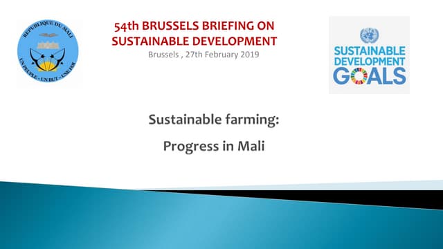 Brussels Briefing 54: Modibo Traoré ''Successes in SDGs implementation: the case of Mali''