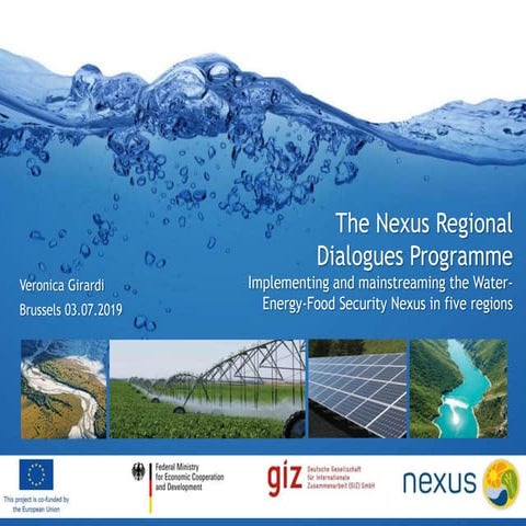 Brussels Briefing n. 56: Veronica Girardi "Policy dialogue on the water-energ...