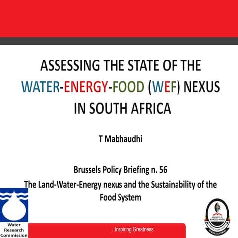 Brussels Briefing n. 56: Tafadzwa Mabhaudhi "Assessing the state of the water...