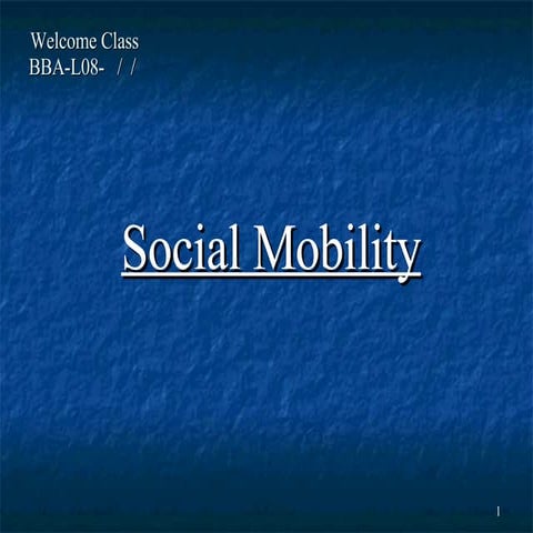 Bba L08 Dt   Social Mobility