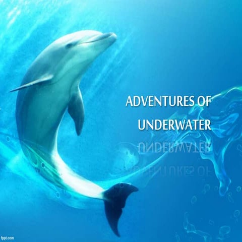 adventures of coral reef