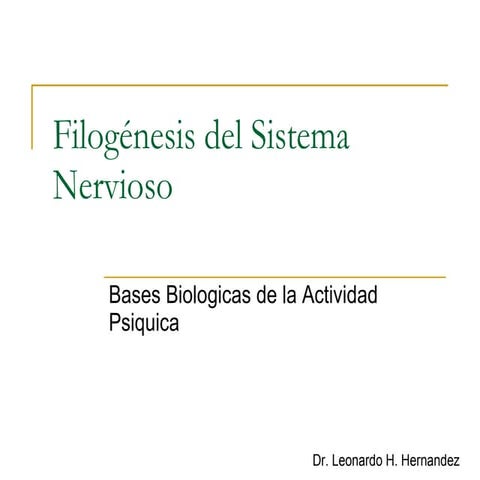 Bbap FilogéNesis Del Sistema Nervioso | PPT