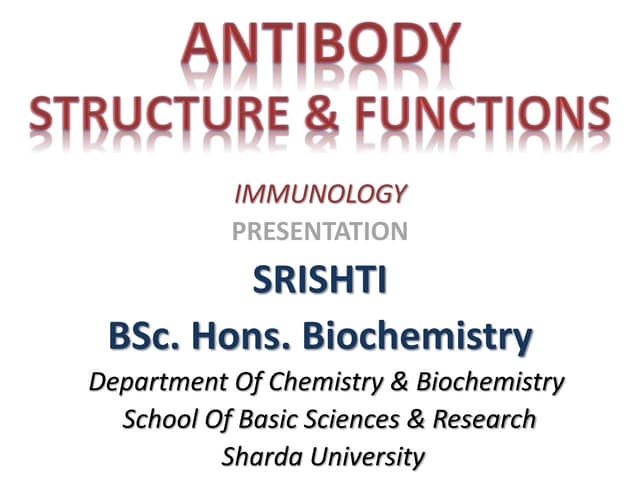 Antibody Structure, Types & Functions 