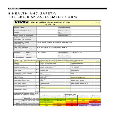 Bb risk assessment | PDF | Injuries | Diseases and Conditions