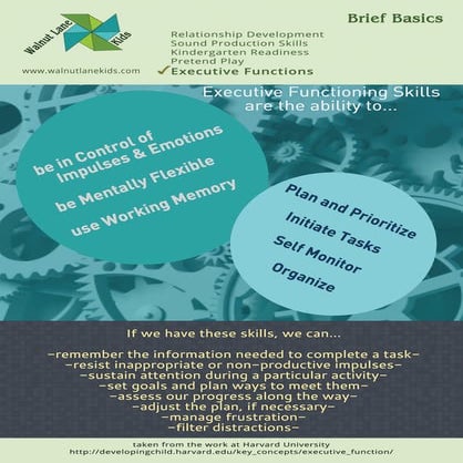 Brief Basics: Executive Functions