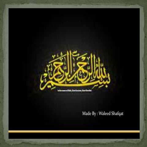 Shifa Consulting Presentation