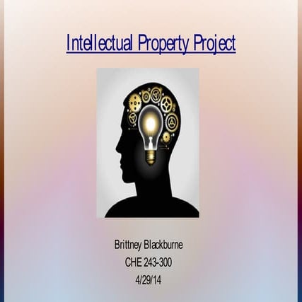 Intellectual Property Project (BB)