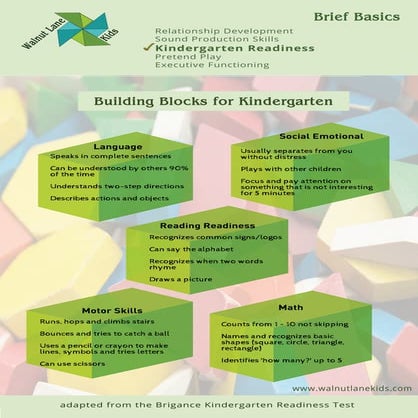 Brief Basics: Kindergarten Readiness 