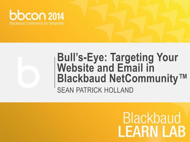 Bulls Eye: Targeting Your Website a...