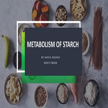 Metabolism of starch synthesis