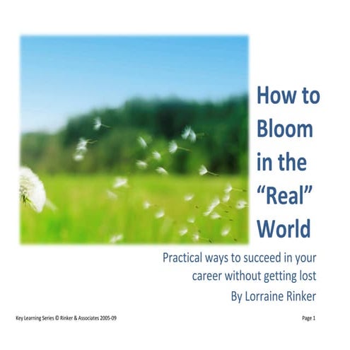 BBP Manifesto   How To Bloom In The Real World