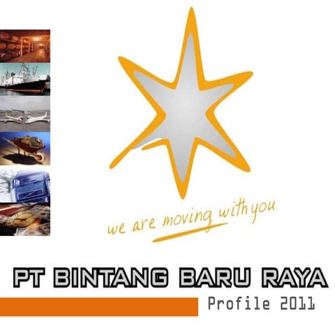 BBR’s Profile 2011 