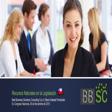BBSC Recursos Naturales En La Ley Chilena