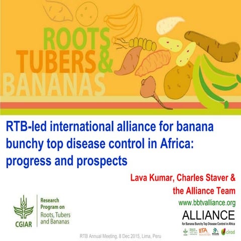 RTB-led International Alliance for Banana Bunchy Top Disease Control in Afric...