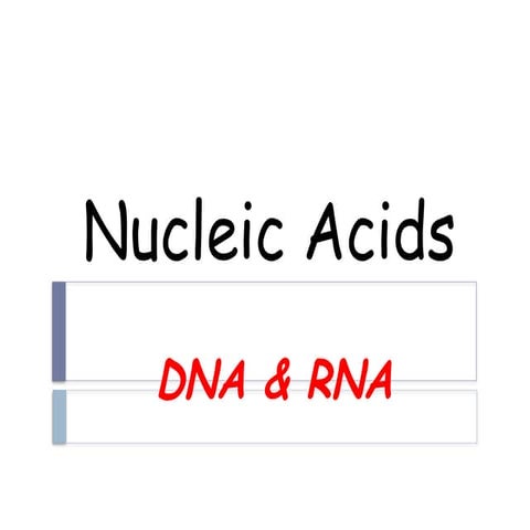 BBY 1102 lecture6-nucleic acid-dna and rna