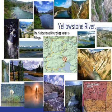 Ben's Yellowstone River