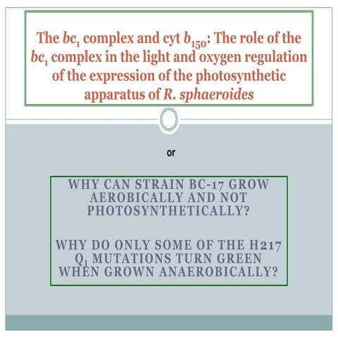 Bc17 And Cyt B150 A Fools Game