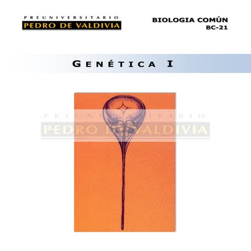 Genética I (BC21 - PDV 2013)