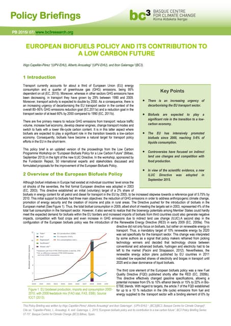 BC3 Policy Briefings: [2015-07] European Biofuels Policy and Its contribution to a Low Carbon Future