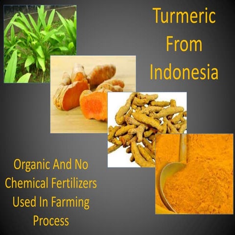 Turmeric Powder Processing | PPTX