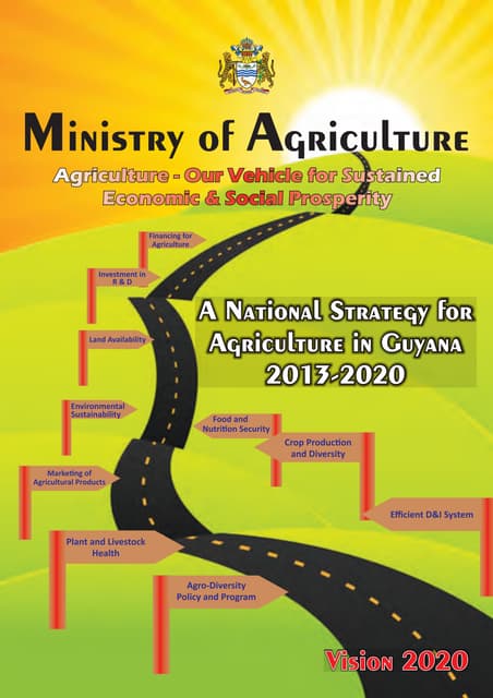 national agriculture strategy 2013-2020