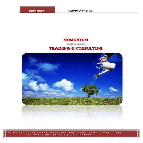 Momentum Company Profile..