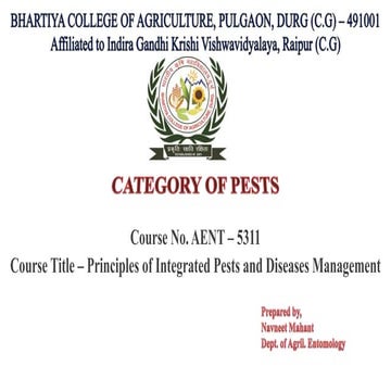 category of insect pest