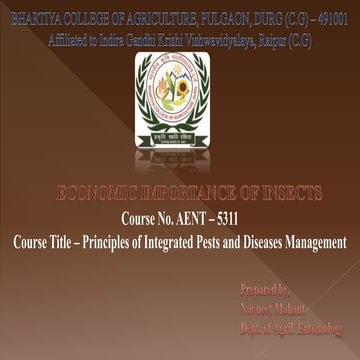 economic importance of insects