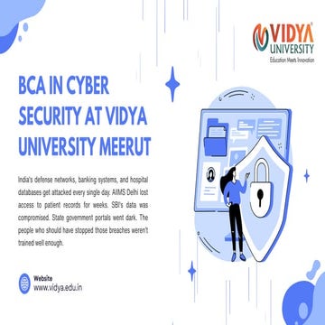 BCA in Cyber Security at Vidya University Meerut.pdf