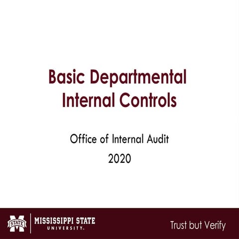 BCA_Presentation_2020.internal control pptx | PPT