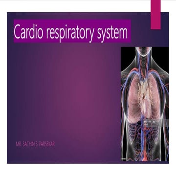 B)cardio respiratory systemj