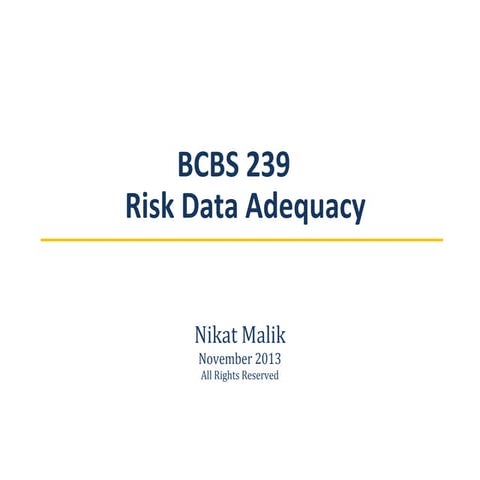 BCBS 239 - Risk Data Adequacy
