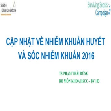 Bc cap nhat NKH và SNK BM HSCC BV103 2017