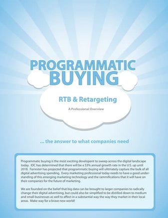 RTB Professional Overview_non-editable