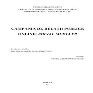 Campania de Relatii Publice Online ...