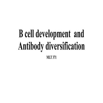 B cell and Antibodies(1).pptx must view slides