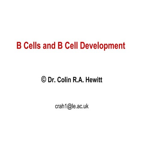 B Cell Development