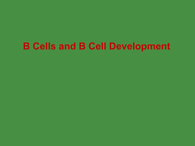 B Cell Development