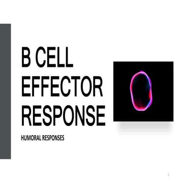 Cell Types Their Secret Weapon The Effector Response - wt7tegf