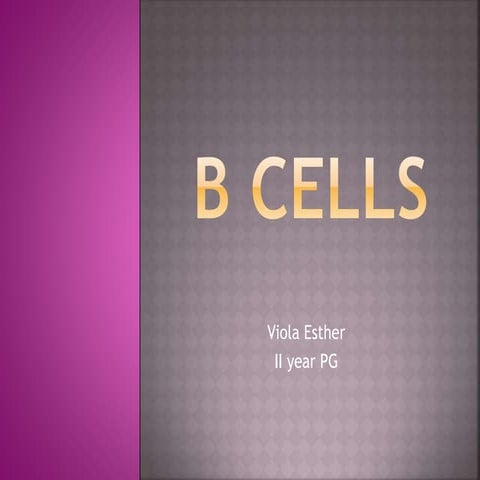 B CELLS .pptx