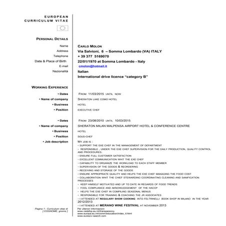 CV Carlo Molon revision October 2015