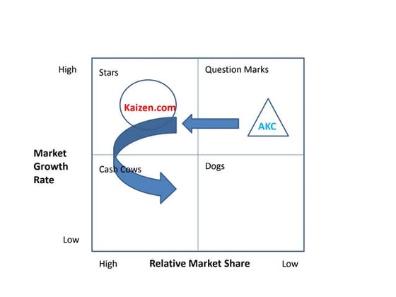 BCG + strategy canvas+ | PDF