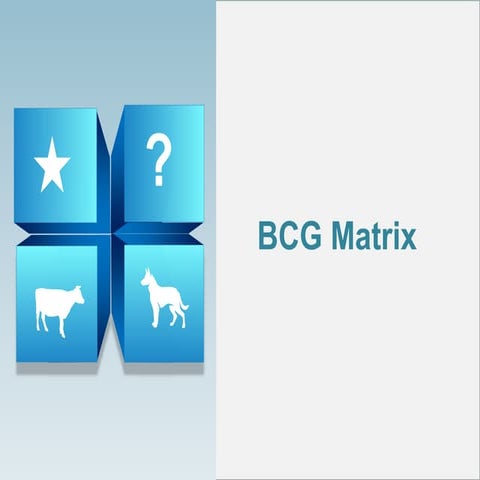 Bcg matrix